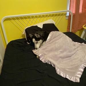 Meet your Posher, Erin